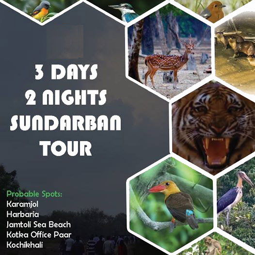 sundarban-tour-offer